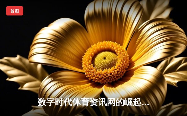 数字时代体育资讯网的崛起：从新闻聚合到生态构建的深度变革